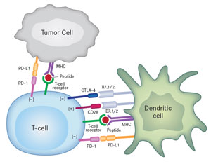 Tumor cell
